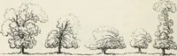 Picture 60 of 227 from The landscape gardening and landscape architecture of the late Humphry Repton, esq., being his entire works on these subjects : ...with historical and scientific introduction, a systematic analysis, a biographical notice, notes, and copious alphabetical index (1840), leaf 217