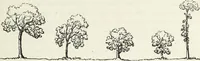 An illustration from The landscape gardening and landscape architecture of the late Humphry Repton, esq., being his entire works on these subjects : ...with historical and scientific introduction, a systematic analysis, a biographical notice, notes, and copious alphabetical index (1840)