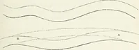 An illustration from The landscape gardening and landscape architecture of the late Humphry Repton, esq., being his entire works on these subjects : ...with historical and scientific introduction, a systematic analysis, a biographical notice, notes, and copious alphabetical index (1840)