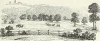 Picture 171 of 227 from The landscape gardening and landscape architecture of the late Humphry Repton, esq., being his entire works on these subjects : ...with historical and scientific introduction, a systematic analysis, a biographical notice, notes, and copious alphabetical index (1840), leaf 516