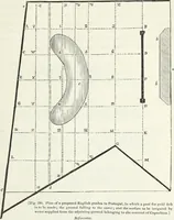 Picture 177 of 227 from The landscape gardening and landscape architecture of the late Humphry Repton, esq., being his entire works on these subjects : ...with historical and scientific introduction, a systematic analysis, a biographical notice, notes, and copious alphabetical index (1840), leaf 526