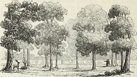 An illustration from The landscape gardening and landscape architecture of the late Humphry Repton, esq., being his entire works on these subjects : ...with historical and scientific introduction, a systematic analysis, a biographical notice, notes, and copious alphabetical index (1840)