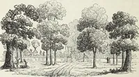 Picture 181 of 227 from The landscape gardening and landscape architecture of the late Humphry Repton, esq., being his entire works on these subjects : ...with historical and scientific introduction, a systematic analysis, a biographical notice, notes, and copious alphabetical index (1840), leaf 531