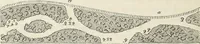 An illustration from The landscape gardening and landscape architecture of the late Humphry Repton, esq., being his entire works on these subjects : ...with historical and scientific introduction, a systematic analysis, a biographical notice, notes, and copious alphabetical index (1840)