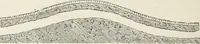 An illustration from The landscape gardening and landscape architecture of the late Humphry Repton, esq., being his entire works on these subjects : ...with historical and scientific introduction, a systematic analysis, a biographical notice, notes, and copious alphabetical index (1840)