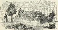 Picture 209 of 227 from The landscape gardening and landscape architecture of the late Humphry Repton, esq., being his entire works on these subjects : ...with historical and scientific introduction, a systematic analysis, a biographical notice, notes, and copious alphabetical index (1840), leaf 602