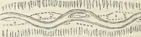 An illustration from The landscape gardening and landscape architecture of the late Humphry Repton, esq., being his entire works on these subjects : ...with historical and scientific introduction, a systematic analysis, a biographical notice, notes, and copious alphabetical index (1840)