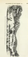 Picture 223 of 227 from The landscape gardening and landscape architecture of the late Humphry Repton, esq., being his entire works on these subjects : ...with historical and scientific introduction, a systematic analysis, a biographical notice, notes, and copious alphabetical index (1840), leaf 632