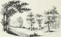 Picture 6 of 227 from The landscape gardening and landscape architecture of the late Humphry Repton, esq., being his entire works on these subjects : ...with historical and scientific introduction, a systematic analysis, a biographical notice, notes, and copious alphabetical index (1840), leaf 83