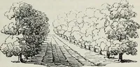 An illustration from The landscape gardening and landscape architecture of the late Humphry Repton, esq., being his entire works on these subjects : ...with historical and scientific introduction, a systematic analysis, a biographical notice, notes, and copious alphabetical index (1840)
