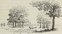 An illustration from The landscape gardening and landscape architecture of the late Humphry Repton, esq., being his entire works on these subjects : ...with historical and scientific introduction, a systematic analysis, a biographical notice, notes, and copious alphabetical index (1840)