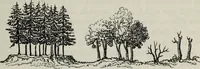 An illustration from The landscape gardening and landscape architecture of the late Humphry Repton, esq., being his entire works on these subjects : ...with historical and scientific introduction, a systematic analysis, a biographical notice, notes, and copious alphabetical index (1840)
