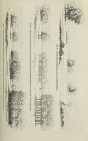An illustration from The landscape gardening and landscape architecture of the late Humphry Repton, esq., being his entire works on these subjects : ...with historical and scientific introduction, a systematic analysis, a biographical notice, notes, and copious alphabetical index (1840)