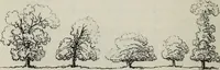 An illustration from The landscape gardening and landscape architecture of the late Humphry Repton, esq., being his entire works on these subjects : ...with historical and scientific introduction, a systematic analysis, a biographical notice, notes, and copious alphabetical index (1840)