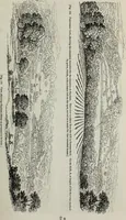 An illustration from The landscape gardening and landscape architecture of the late Humphry Repton, esq., being his entire works on these subjects : ...with historical and scientific introduction, a systematic analysis, a biographical notice, notes, and copious alphabetical index (1840)