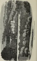 An illustration from The landscape gardening and landscape architecture of the late Humphry Repton, esq., being his entire works on these subjects : ...with historical and scientific introduction, a systematic analysis, a biographical notice, notes, and copious alphabetical index (1840)