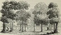 An illustration from The landscape gardening and landscape architecture of the late Humphry Repton, esq., being his entire works on these subjects : ...with historical and scientific introduction, a systematic analysis, a biographical notice, notes, and copious alphabetical index (1840)