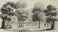 Picture 188 of 235 from The landscape gardening and landscape architecture of the late Humphry Repton, esq., being his entire works on these subjects : ...with historical and scientific introduction, a systematic analysis, a biographical notice, notes, and copious alphabetical index (1840), leaf 531