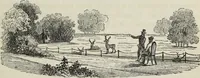 An illustration from The landscape gardening and landscape architecture of the late Humphry Repton, esq., being his entire works on these subjects : ...with historical and scientific introduction, a systematic analysis, a biographical notice, notes, and copious alphabetical index (1840)