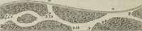 An illustration from The landscape gardening and landscape architecture of the late Humphry Repton, esq., being his entire works on these subjects : ...with historical and scientific introduction, a systematic analysis, a biographical notice, notes, and copious alphabetical index (1840)