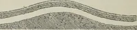An illustration from The landscape gardening and landscape architecture of the late Humphry Repton, esq., being his entire works on these subjects : ...with historical and scientific introduction, a systematic analysis, a biographical notice, notes, and copious alphabetical index (1840)