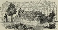 An illustration from The landscape gardening and landscape architecture of the late Humphry Repton, esq., being his entire works on these subjects : ...with historical and scientific introduction, a systematic analysis, a biographical notice, notes, and copious alphabetical index (1840)