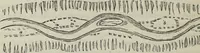 An illustration from The landscape gardening and landscape architecture of the late Humphry Repton, esq., being his entire works on these subjects : ...with historical and scientific introduction, a systematic analysis, a biographical notice, notes, and copious alphabetical index (1840)