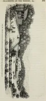 Picture 231 of 235 from The landscape gardening and landscape architecture of the late Humphry Repton, esq., being his entire works on these subjects : ...with historical and scientific introduction, a systematic analysis, a biographical notice, notes, and copious alphabetical index (1840), leaf 632