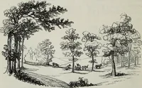 An illustration from The landscape gardening and landscape architecture of the late Humphry Repton, esq., being his entire works on these subjects : ...with historical and scientific introduction, a systematic analysis, a biographical notice, notes, and copious alphabetical index (1840)