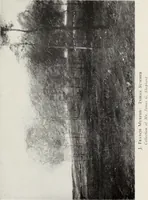Picture 16 of 16 from Landscape painting and modern Dutch artists (1906), leaf 128