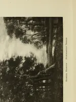 An illustration from Landscape painting and modern Dutch artists (1906)