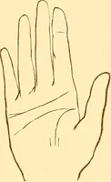 An illustration from The language of the hand, being a concise exposition of the principles and practice of the art of reading the hand (1899)
