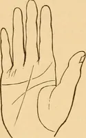 An illustration from The language of the hand, being a concise exposition of the principles and practice of the art of reading the hand (1899)