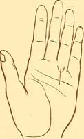 An illustration from The language of the hand, being a concise exposition of the principles and practice of the art of reading the hand (1899)