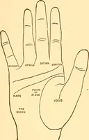 An illustration from The language of the hand, being a concise exposition of the principles and practice of the art of reading the hand (1899)