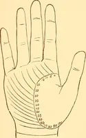An illustration from The language of the hand, being a concise exposition of the principles and practice of the art of reading the hand (1899)