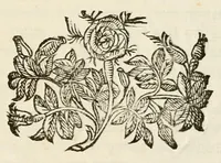 An illustration from La noce recisa ne i fvnerali del fù signor marchese Alessandro Fachenetti senatore di Bologna : celebrati nella chiesa dei santi Gregorio, e Siro de i rr. pp. ministri de gl'infermi (1685)