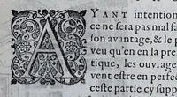 Picture 27 of 33 from La nouvelle fortification (1645), leaf 219