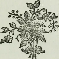 Picture 3 of 19 from La nouvelle Zélis au bain, poeme en six chants (1768), leaf 8