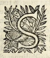 An illustration from L'Anti-Hvgvenot av Dvc de Rohan. Povr response a son manifeste, ou declaration. (1627)