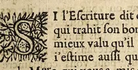 An illustration from L'Anti-Hvgvenot av Dvc de Rohan. Povr response a son manifeste, ou declaration. (1627)
