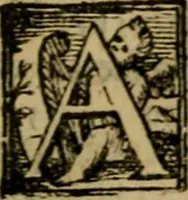 An illustration from L'antiqvità di Roma : sito, imperadori, famiglie, statue, chiese, corpi santi, reliquie, pontefici, & cardinali di essa (1575)