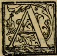 An illustration from L'antiqvità di Roma : sito, imperadori, famiglie, statue, chiese, corpi santi, reliquie, pontefici, & cardinali di essa (1575)
