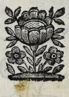 Picture 42 of 53 from La nuoua architettura militare d'antica rinouata (1683), leaf 176