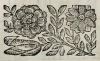 Picture 44 of 53 from La nuoua architettura militare d'antica rinouata (1683), leaf 180