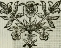 An illustration from La nuova architettura civile, e militare (1717)