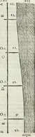 An illustration from La nuova architettura civile, e militare (1717)