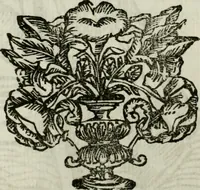 Picture 107 of 292 from La nuova architettura civile, e militare (1717), leaf 293