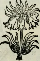 An illustration from La nuova architettura civile, e militare (1717)