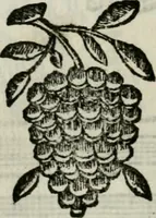 An illustration from La nuova architettura civile, e militare (1717)